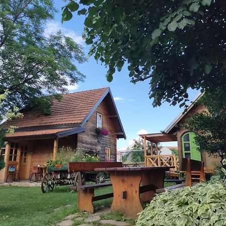 Apartments Vila Selena - Golija Rudno Экстерьер фото