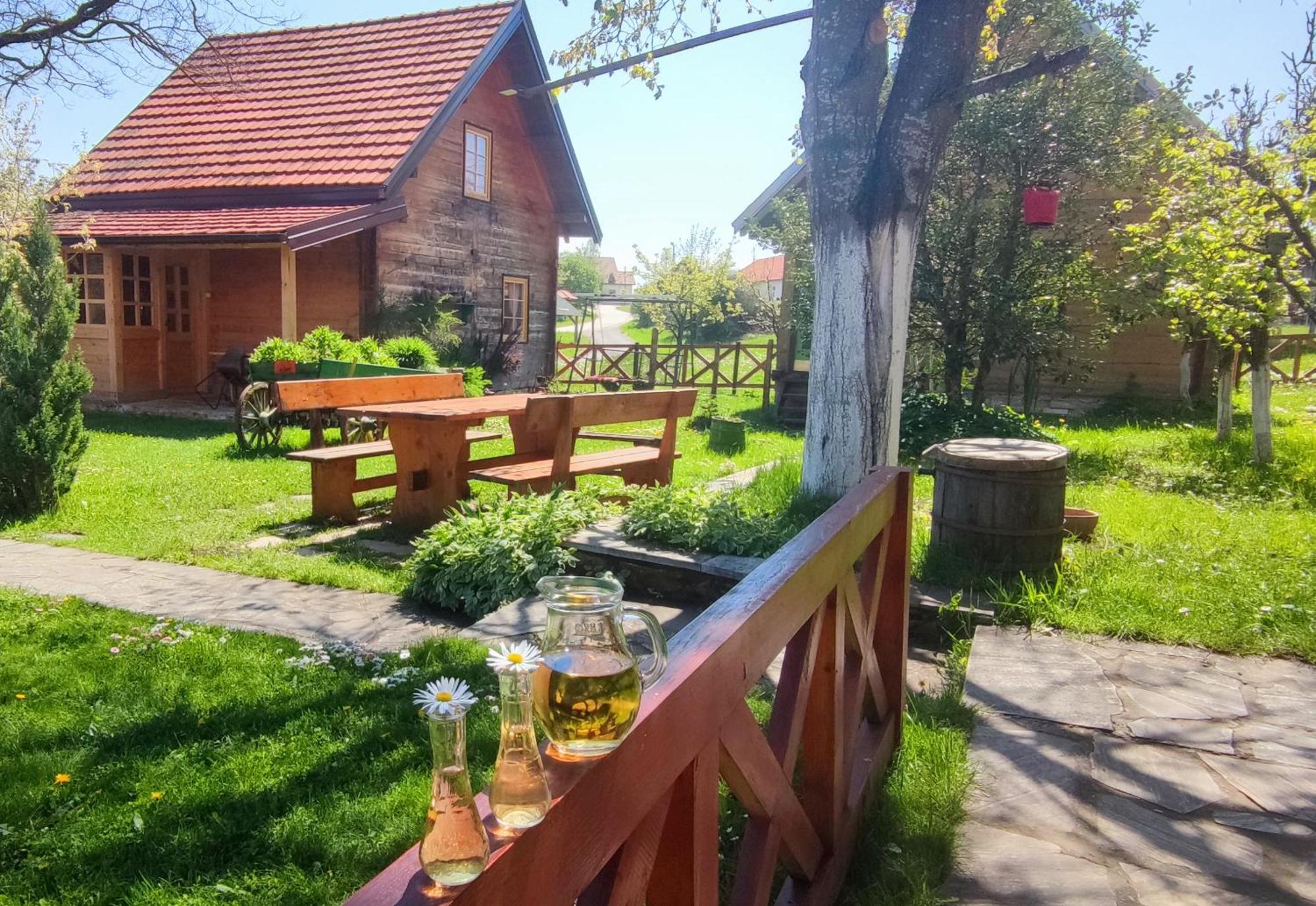 Apartments Vila Selena - Golija Rudno Экстерьер фото
