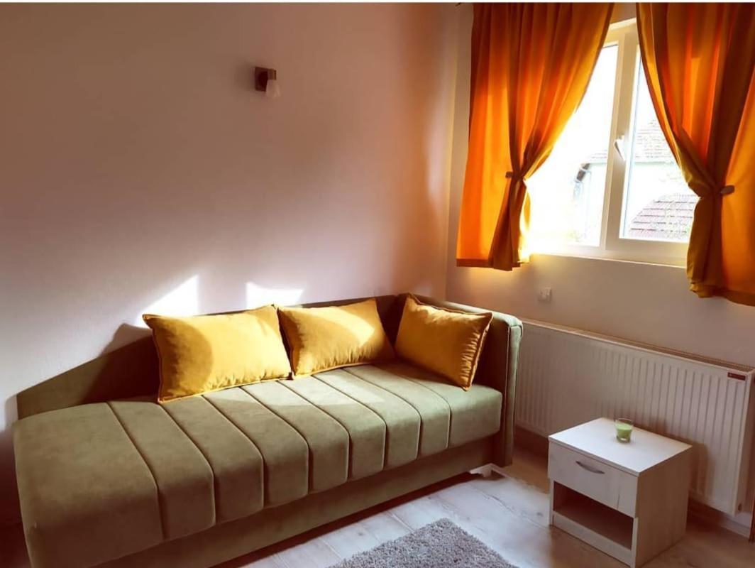 Apartments Vila Selena - Golija Rudno Экстерьер фото