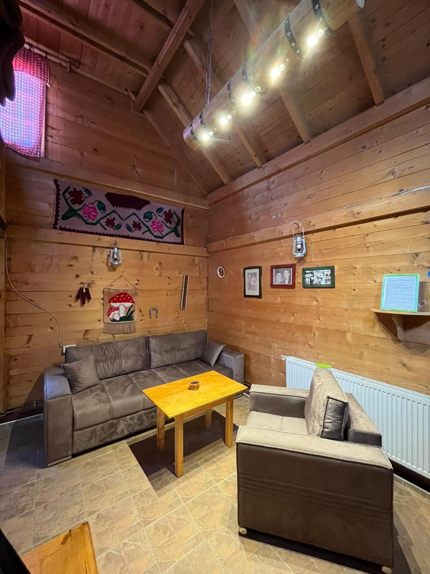 Apartments Vila Selena - Golija Rudno Экстерьер фото