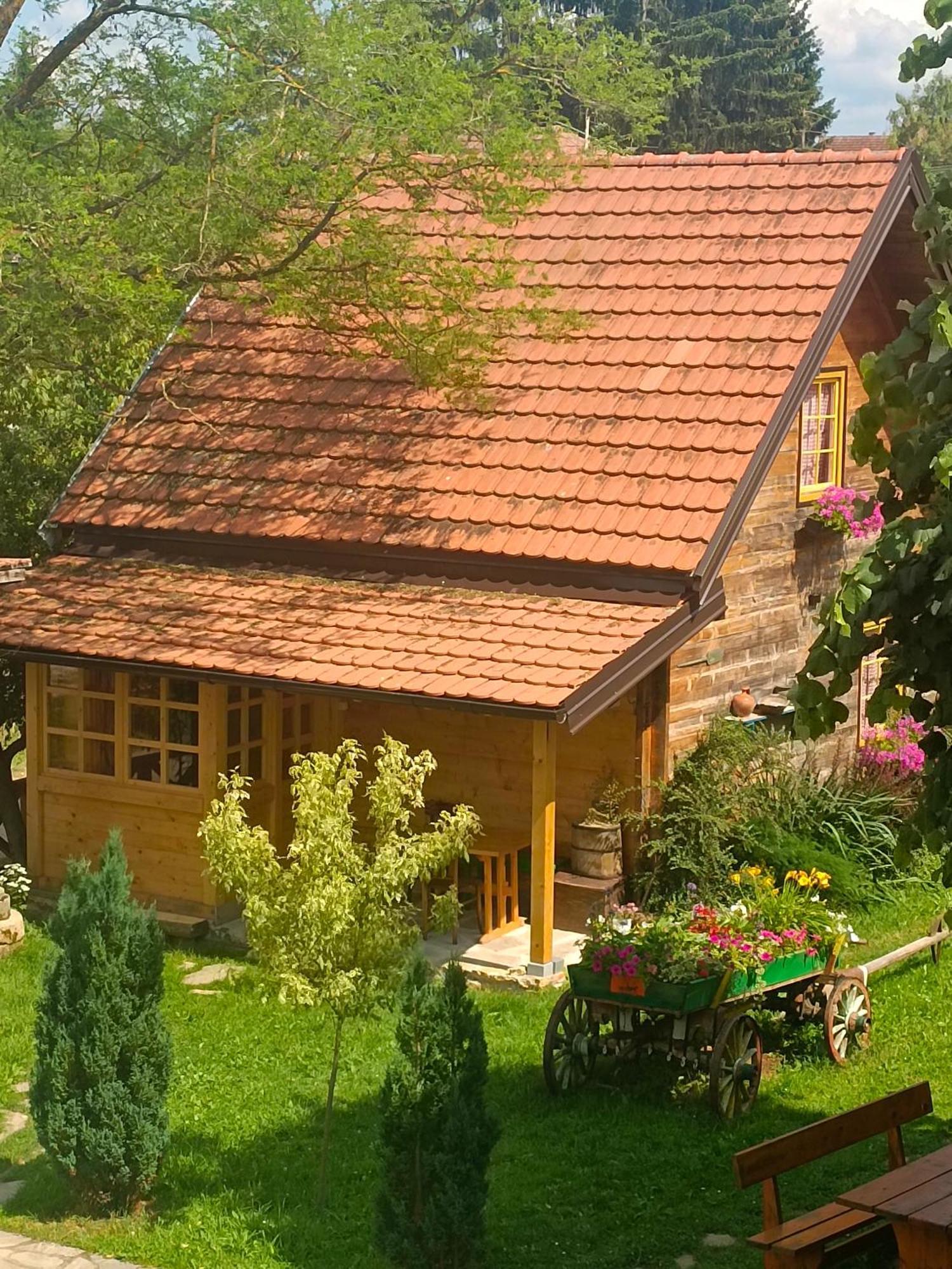 Apartments Vila Selena - Golija Rudno Экстерьер фото