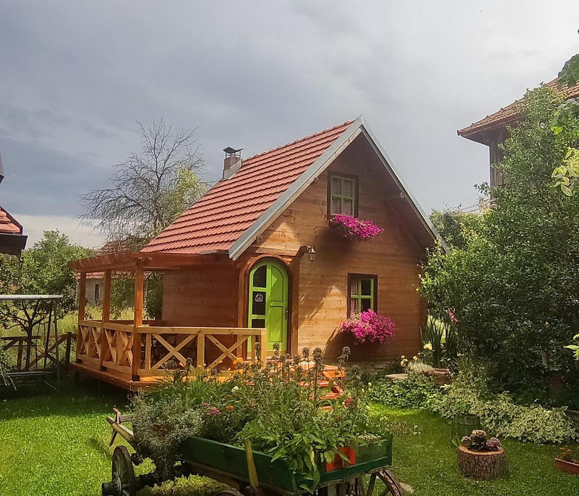 Apartments Vila Selena - Golija Rudno Экстерьер фото