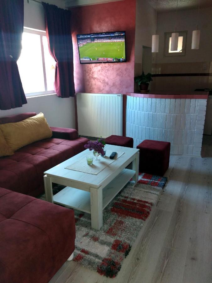 Apartments Vila Selena - Golija Rudno Экстерьер фото