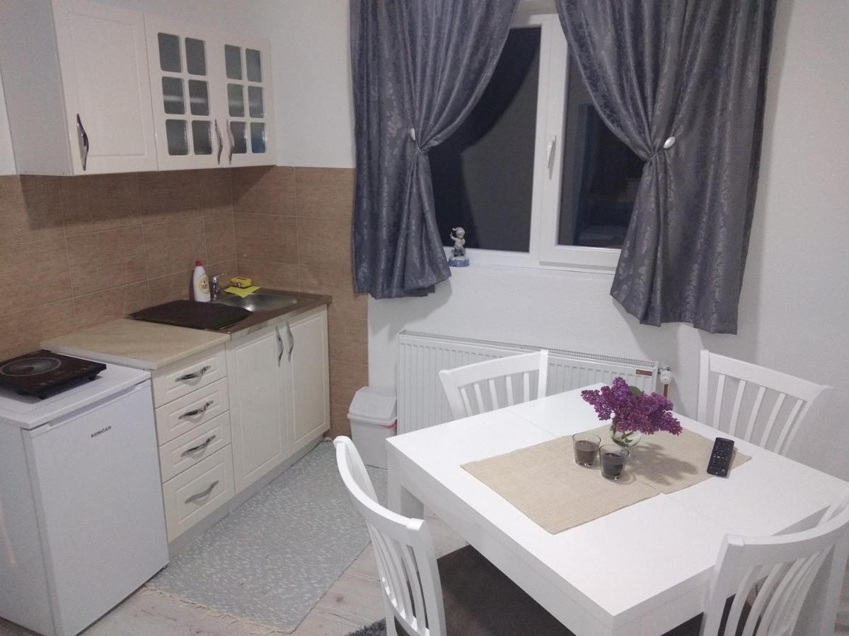 Apartments Vila Selena - Golija Rudno Экстерьер фото